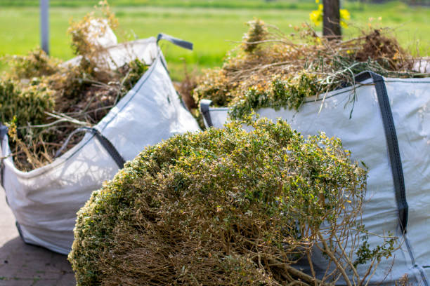 Best Junk Removal Near Me  in Waldo, AR